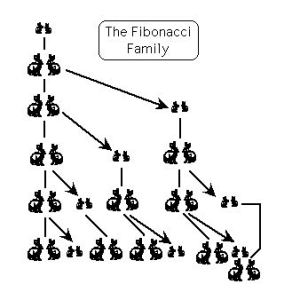 Fibonacci Bunnies